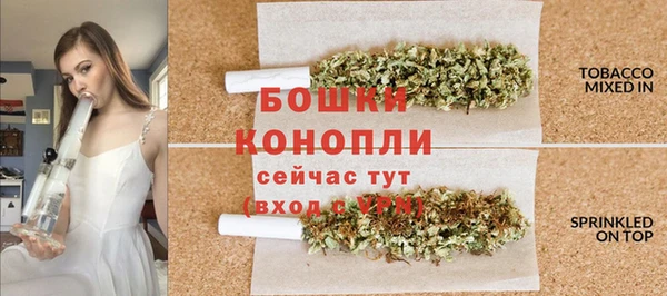 ГАЛЛЮЦИНОГЕННЫЕ ГРИБЫ Наволоки