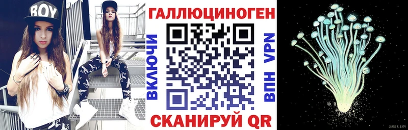 Галлюциногенные грибы Psilocybe  MEGA   Петров Вал 